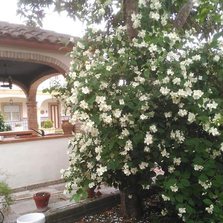 バエサ Vivienda Turistica Rural Mari Carmenヴィラ エクステリア 写真