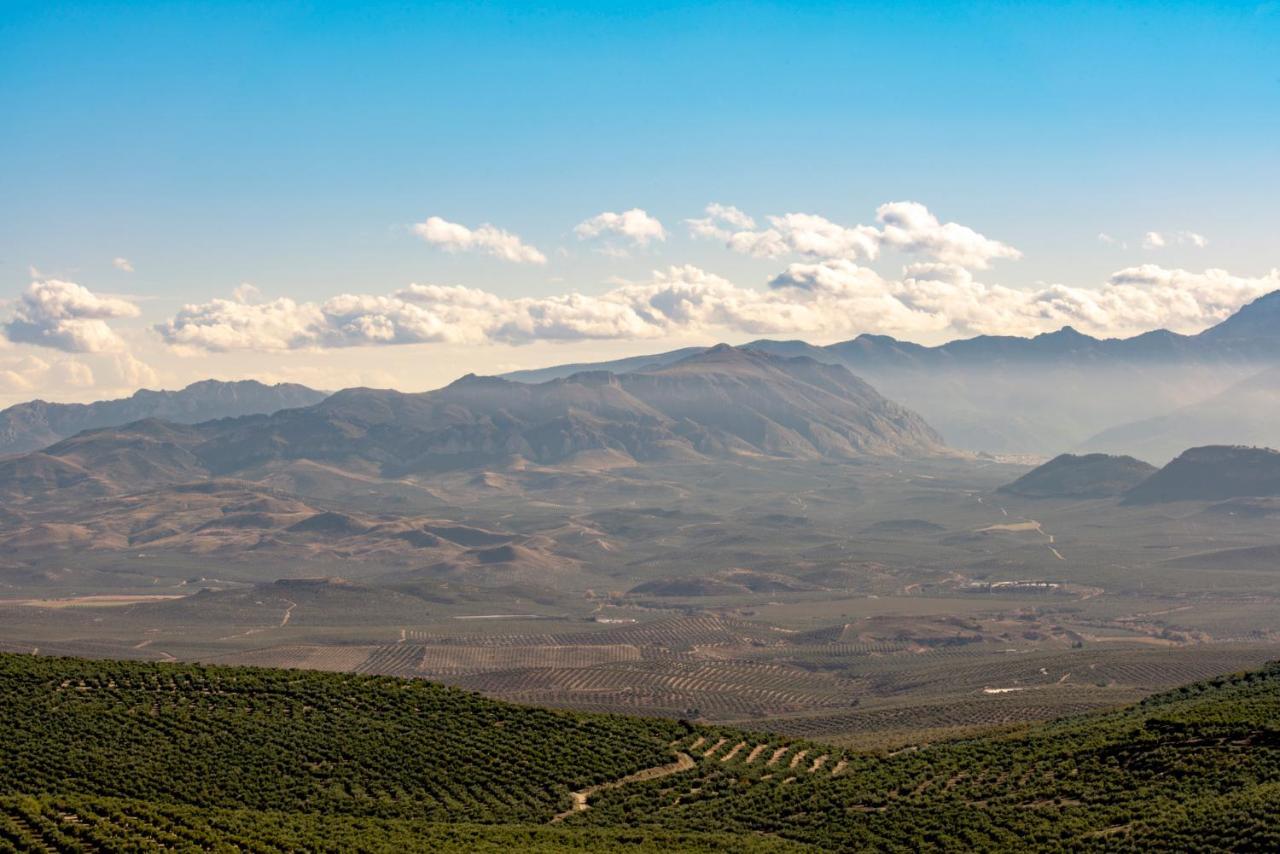 バエサ Vivienda Turistica Rural Mari Carmenヴィラ エクステリア 写真